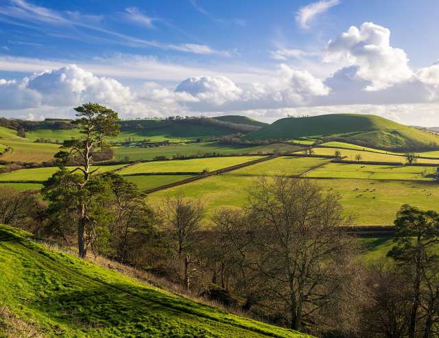 Landschaft in Somerset