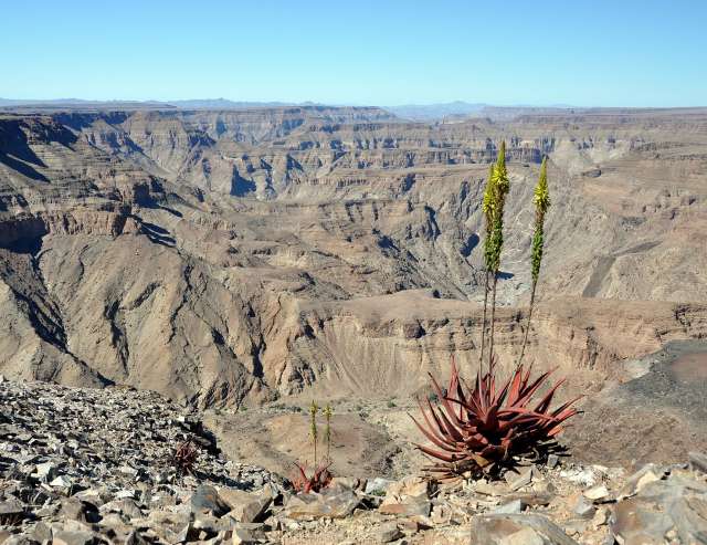 550 Meter tief: Fish River Canyon