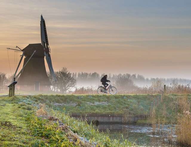 Frühlingsmorgen in Südholland