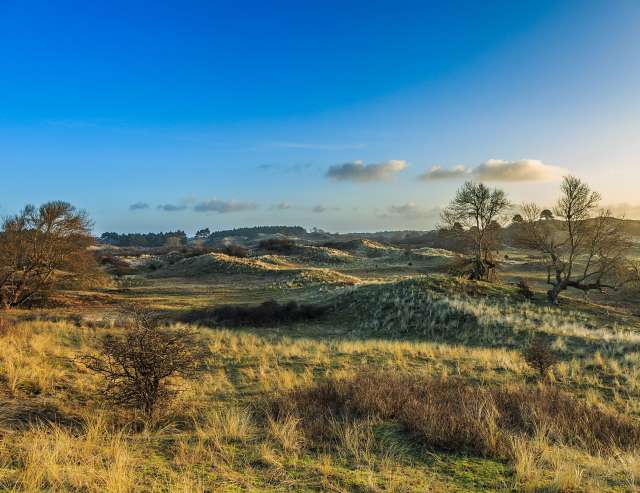 Nationalpark Zuid Kennemerland