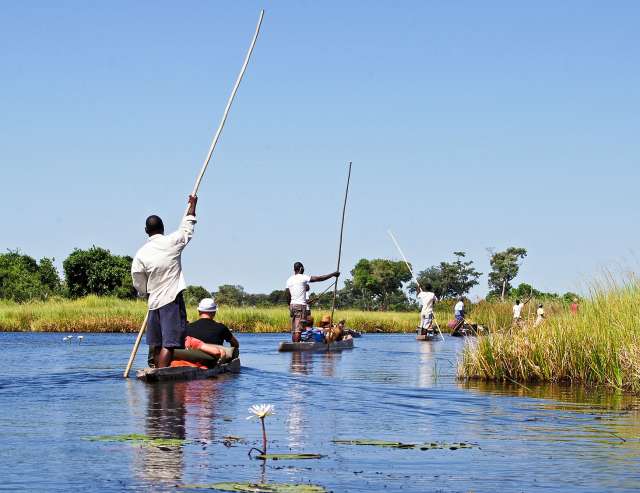 im Einboot durch die Wildnis: Okavango Delta