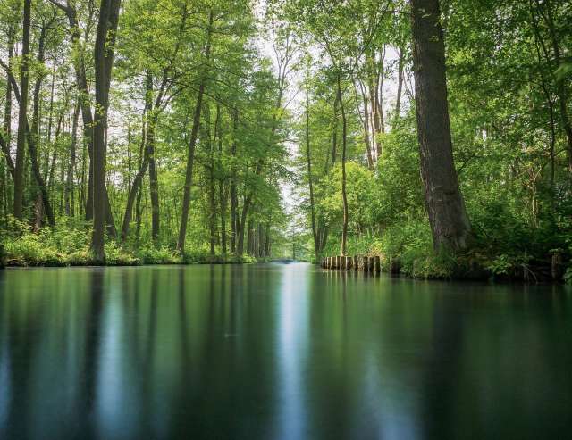 Spreewald