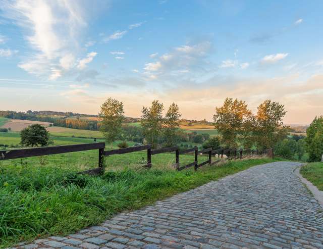 grüne Ebene und historische Städte: Flandern