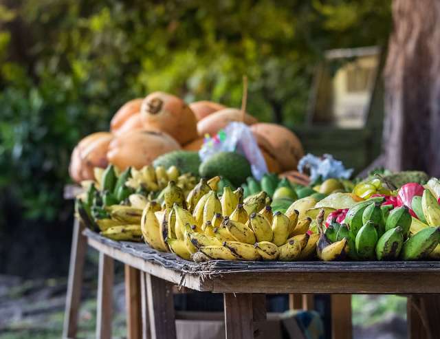 Tropische Früchte in Hülle und Fülle: ganzjährige Saison
