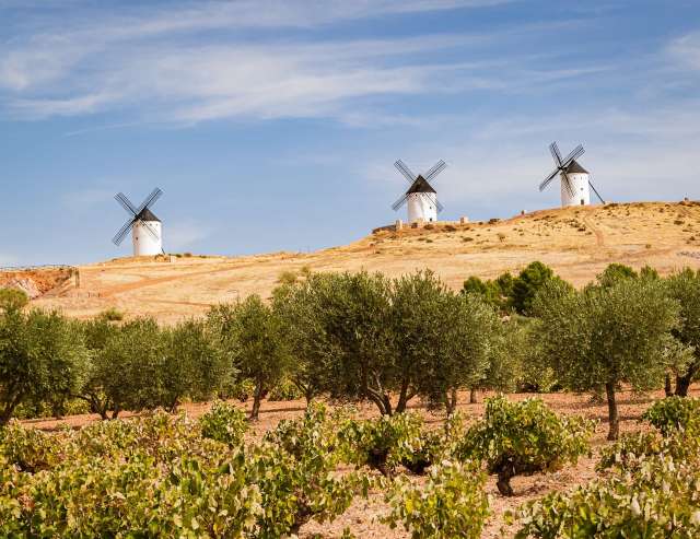 ursprüngliche Natur und reiche Geschichte: Zentralspanien