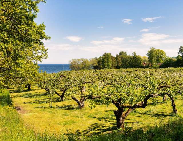 Vielfältige Kulturlandschaften: Südschweden