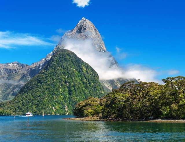 Regenwälder, Weinberge und Fjorde: Südinsel