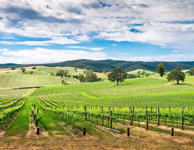 Barossa: Australiens bekannteste Weinregion