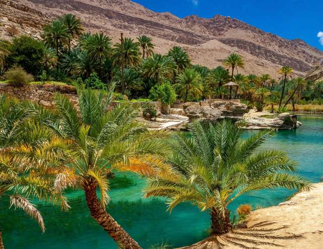 Desert Oasis Oman