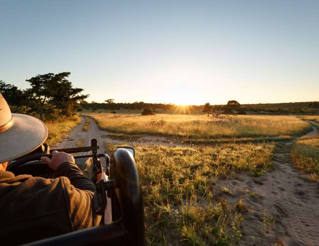Blick vom Safari-Fahrzeug auf das Sabi Sands Game Reserve