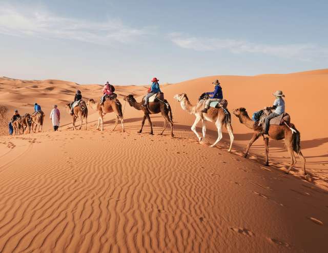 Karawane in der Sahara