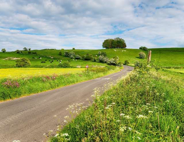 Typische Landschaft in Wessex