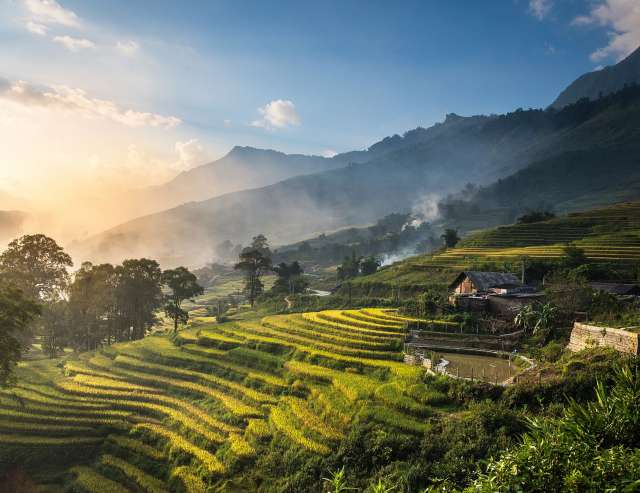 Reisfelder bei Sonnenuntergang: Sapa