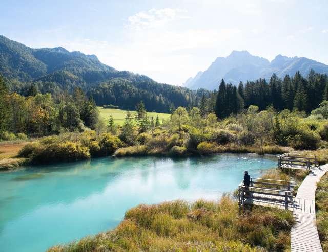 Natur pur: Naturschutzgebiet Zelenci
