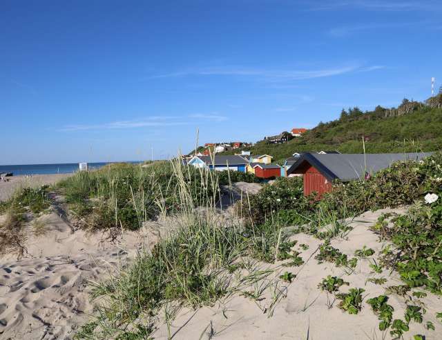 Feiner Sandstrand: Dänemark
