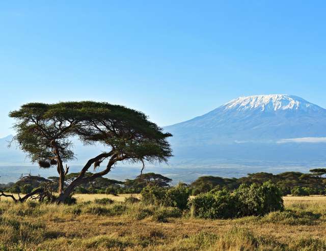 Mount Kilimadscharo: Tansania