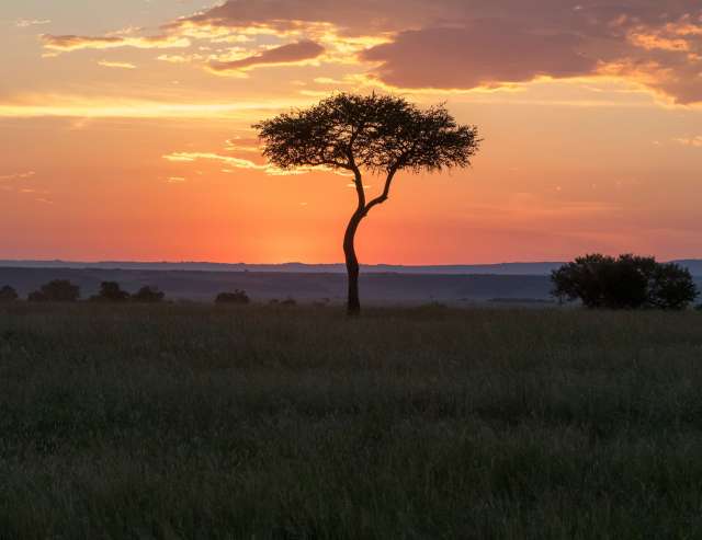 Sonnenuntergang: Tansania