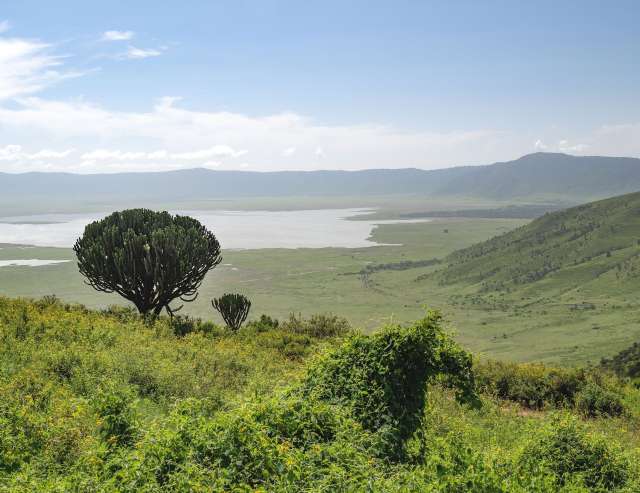 am Rande der Serengeti: Ngorongoro