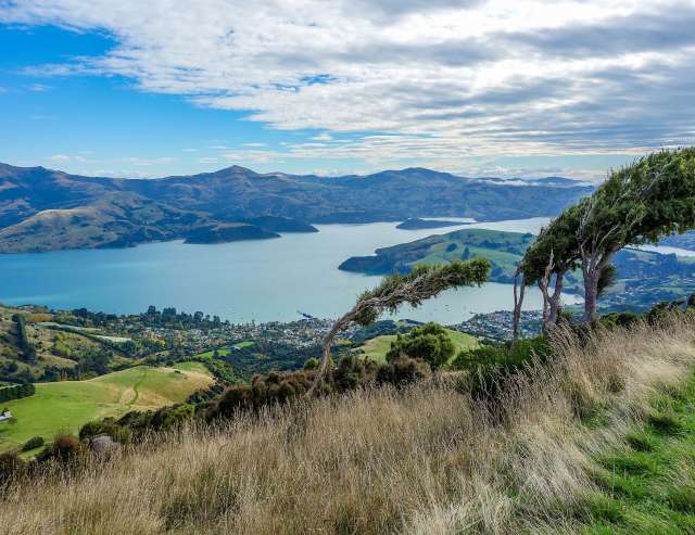 ehemaliger Vulkankrater: Akaroa Harbour