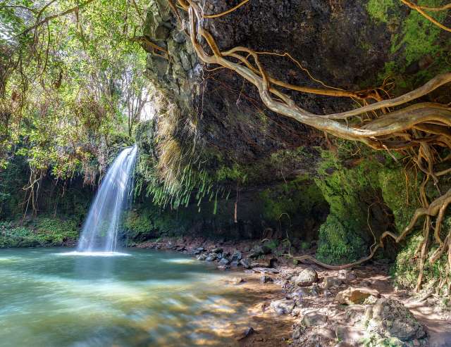 Hawaii wie im Bilderbuch: Insel Maui