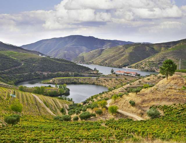 uralte Weinregion: Douro-Tal
