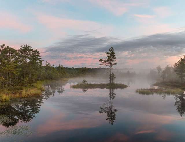 Moore, Seen, Wälder: Lahema Nationalpark