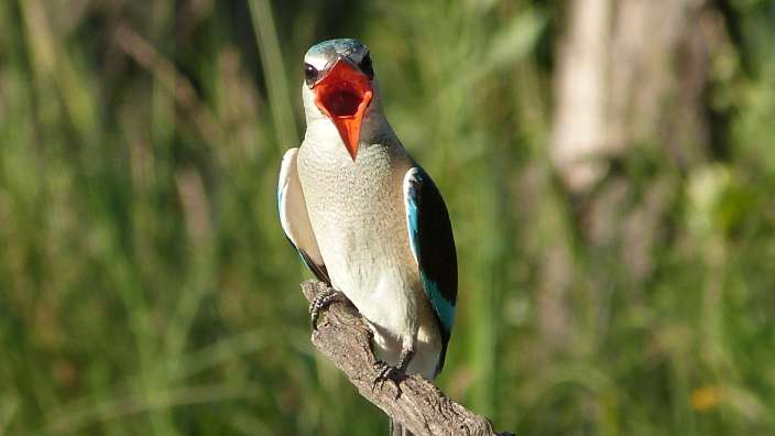 ©Hans Wilhelm Schatz