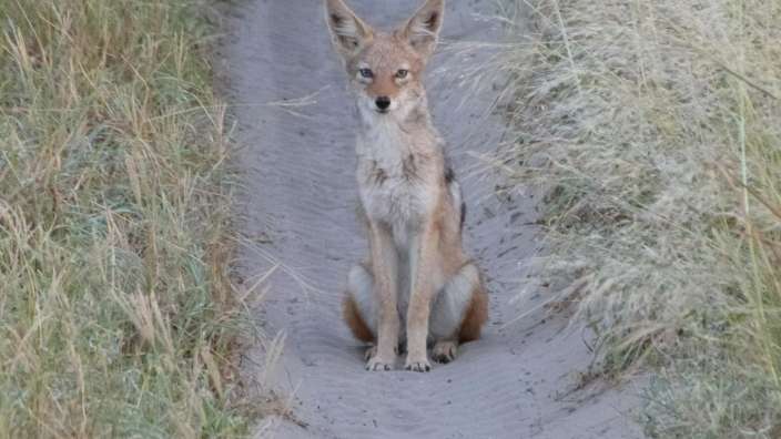 ©Hans Wilhelm Schatz