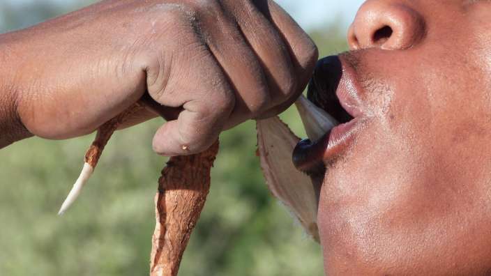 ©Hans Wilhelm Schatz