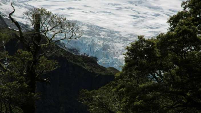 Gletscher trifft Regenwald – ©Claudia Hild
