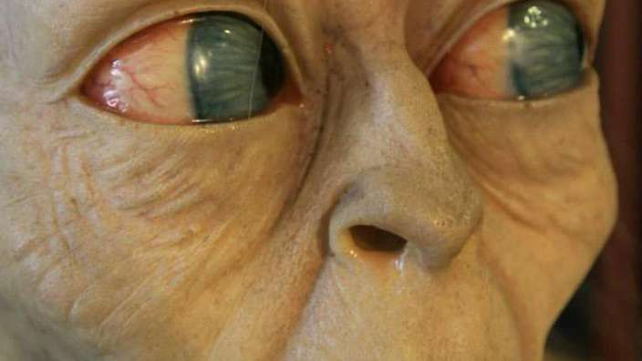 Unser aller Schatzzzzz ... – ©Claudia Hild