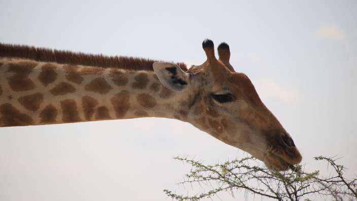 Guten Appetit! – ©Oliver Dräger