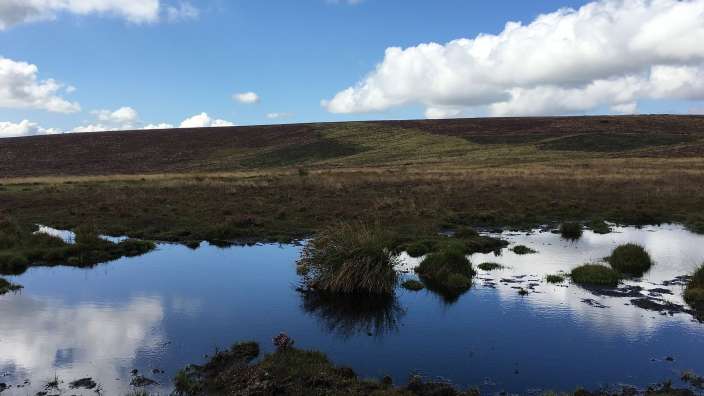 Dartmoor – ©Reinhard Fritsch