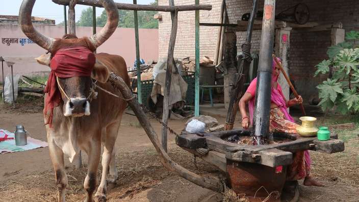 Traditionelle Herstellung von Sesamöl