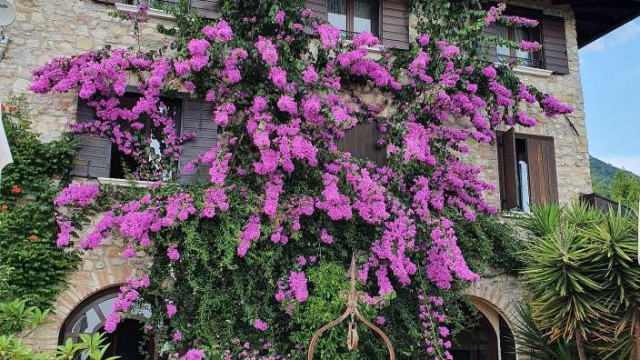 Unsere Unterkunft am Gardasee