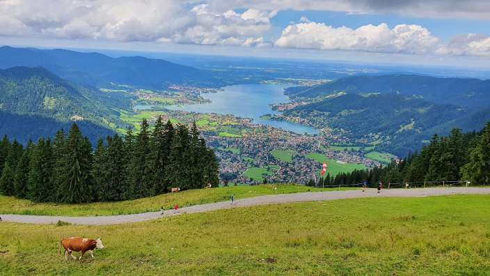 Natur pur auf dem Wallberg am Tegernsee