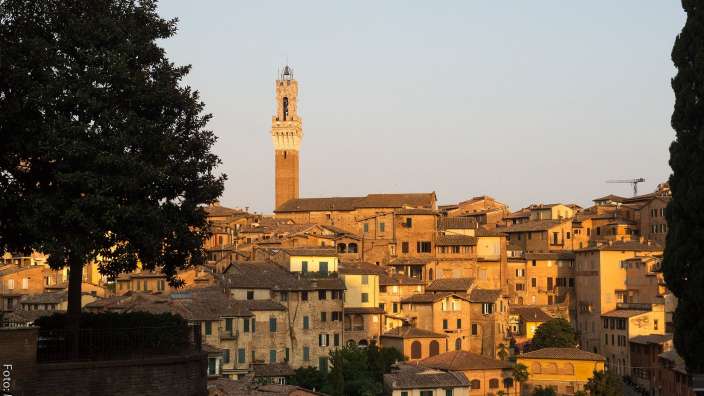 Siena (wie immer ein Traum)