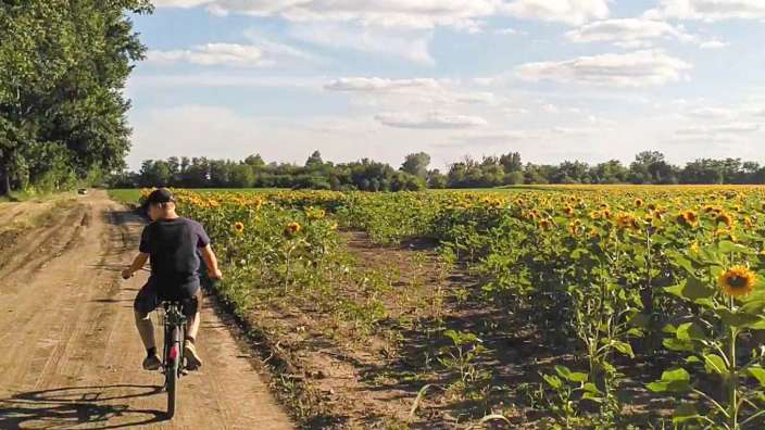 Entlang der Sonnenblumenfelder: Familie Garstka in Ungarn