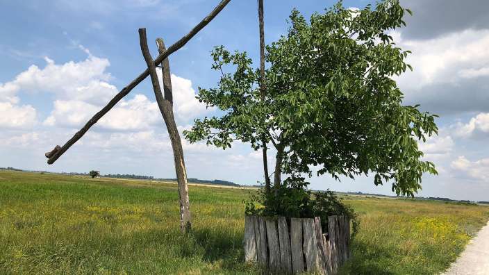 Pusta: Neusiedler See mit Ziehbrunnen