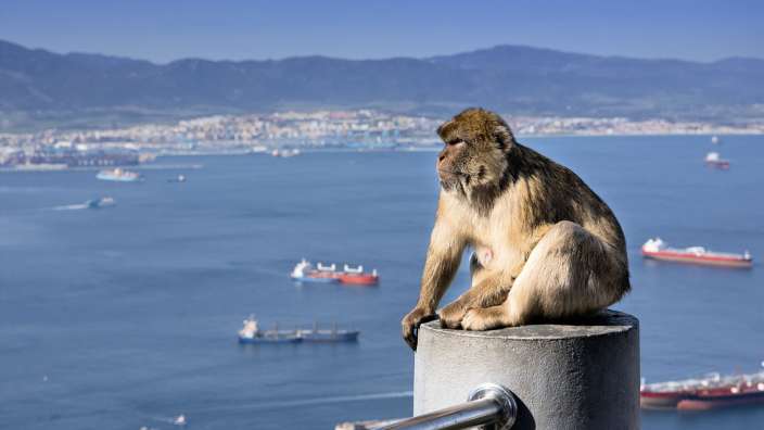 Streit um einen Affenfelsen: Gibraltar