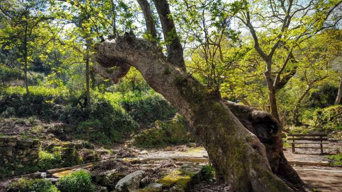 Kreta: Wo Zeus die Europa raubte