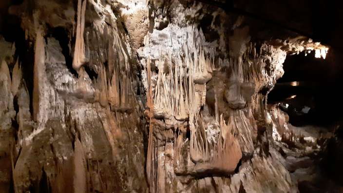 Höhle von Postojna