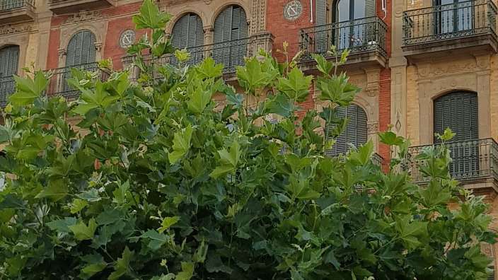 Cafe Iruña, Pamplona, Hemingways Lieblingscafe