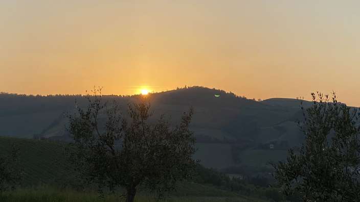 Ein Weinresort bei Forli inmitten herrlicher Landschaft