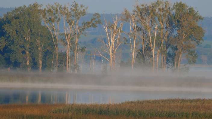 Morgenstimmung am Oberuckersee