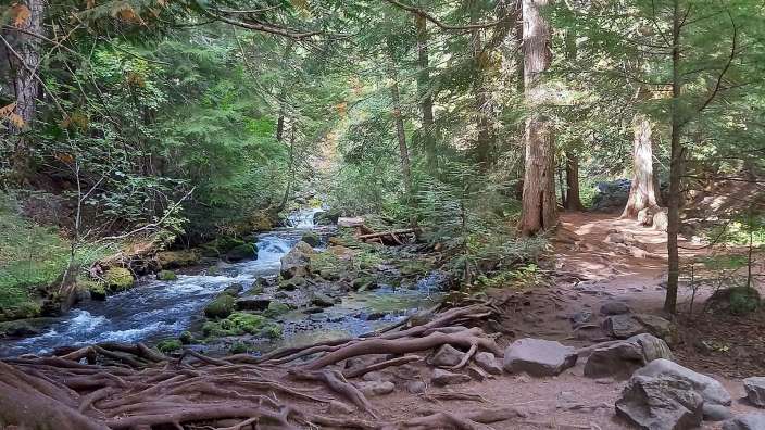 Mount Hood National Forest