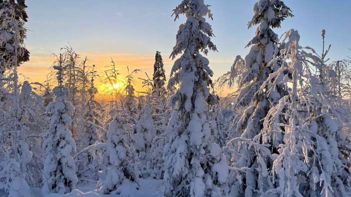 On Tour mit den Schlittenhunden durch märchenhafte Welten 