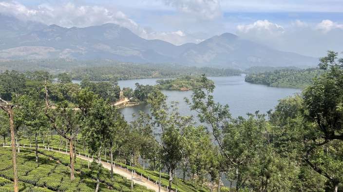 Munnar-Kardamomberge
