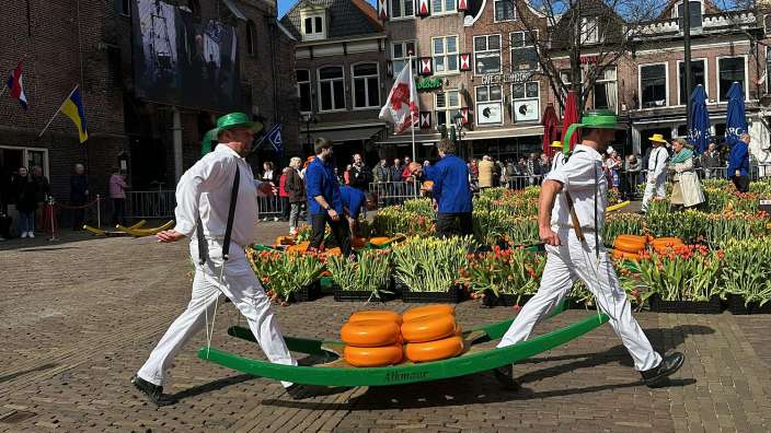 Käsemarkt in Alkmaar