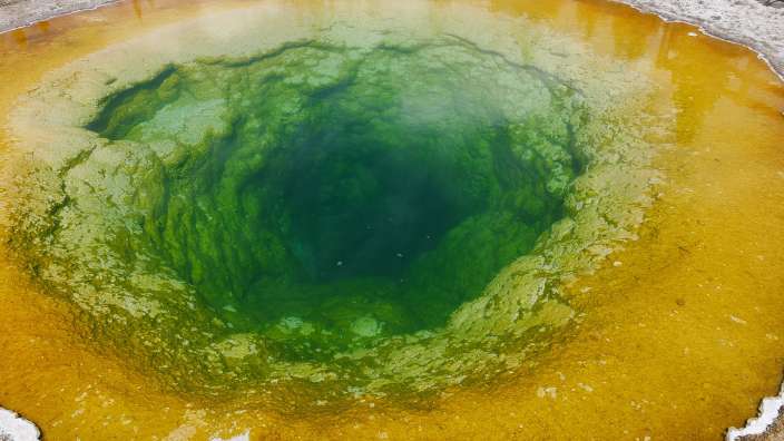 Morning Glory Pool im Yellowstone NP